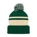 A1830 Hockey Toque - 2009 Minnesota 3Rd Dark Green - Front